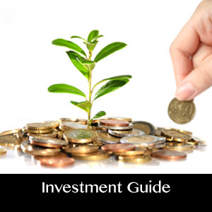 investor guide