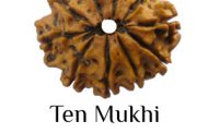 Ten Mukhi Rudraksha