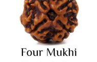 Four Mukhi Rudraksha