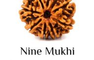 Nine Mukhi Rudraksha