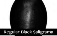 Regular Black Saligrama